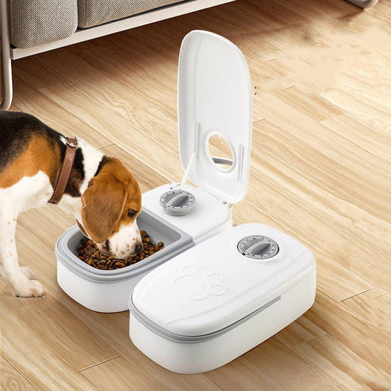Automatic Pet Feeder Smart Food Dispenser For Cats Dogs Timer Stainless Steel Bowl Auto Dog Cat Pet Feeding Pets Supplies - Buyez